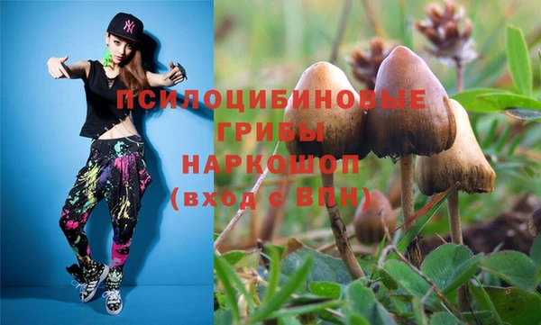 мяу мяу мука Верхний Тагил